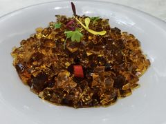 -丁老爷子苏香圆