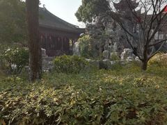 -檀园