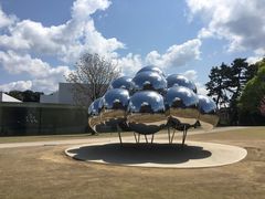 -金泽21世纪美术馆