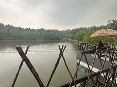 -榴莲咖啡馆