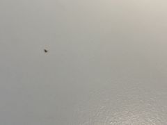 -云尊府云南菜·蒸汽石锅鱼(学清路店)