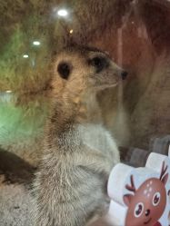 -酷嗒动物文化乐园(cutezoo西溪乐天城店)