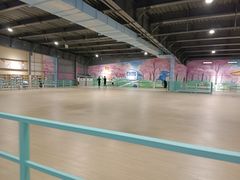 -极限PLAY运动娱乐新世界·团建派对潮玩休闲馆·室内蹦极高空游乐园