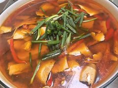 -小眼睛餐饮&杨杨夜宵