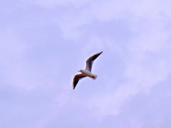 -南戴河旅游度假区