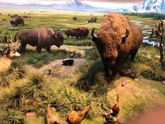 -陕西自然博物馆