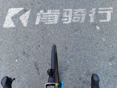 -Local泰莲庭(虹鳟鱼店)