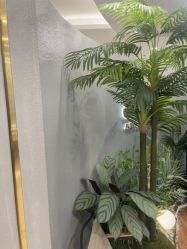 点击看大图 -八佰伴8008星级形象店