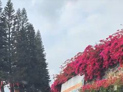 -广州市石门国家森林公园