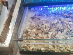 -透明思烤·自助烤肉海鲜火锅(东部星悦天地店)