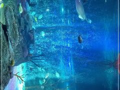 -沈阳海洋探索中心