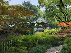 -申粤轩酒楼·三十年粤菜经典(丁香花园店)