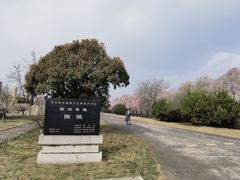 -汉景帝阳陵博物院