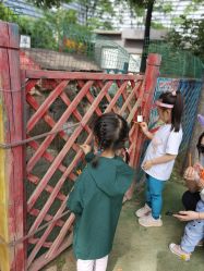 -萌宠亲子动物乐园(槐房万达店)