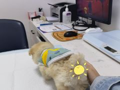 -福州肆爪动物医院