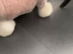 -心语宠物医院·急重症转诊中心·瑞辰华诺(南青路店)