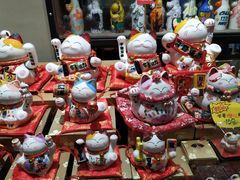 -猫咪博物馆(顶澳仔猫街店)