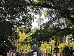 -桂林独秀峰王城景区