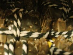 -陈长荣生态大闸蟹(盐城店)