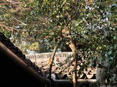 -西园戒幢律寺