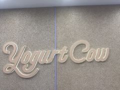 -一只酸奶牛(洪崖洞11楼店)