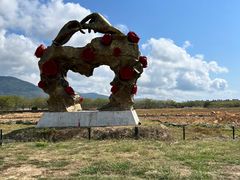 -亚龙湾国际玫瑰谷