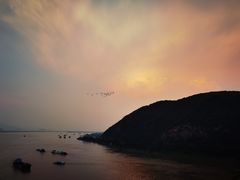 -羚羊峡古栈道森林公园