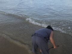 -黄金海岸