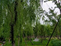 -回龙观体育文化公园