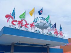 -海鮮寿司とれとれ市場