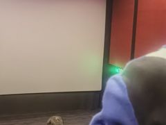 -万达广场(临港店)