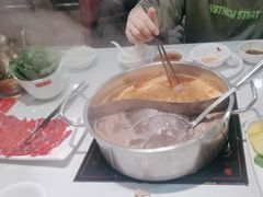 -潮牛禾记•潮汕鲜牛肉火锅(新亚洲店)