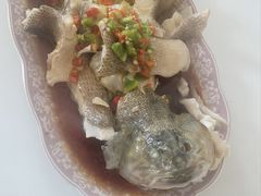 -天鹅到家·保姆月嫂育儿嫂(朝阳店)