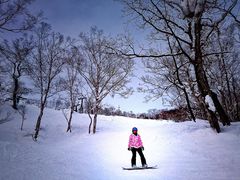 -二世古滑雪场