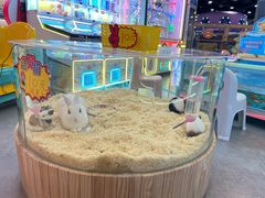 -凯德广场(武胜路店)