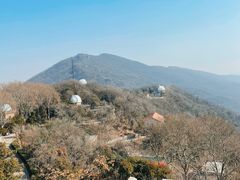 -紫金山天文台