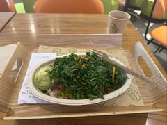 -油梨树 AVOCADO TREE(亮马桥店)