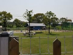 -上海长兴岛郊野公园