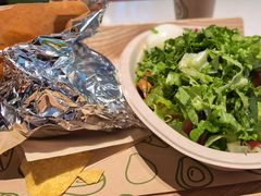 -油梨树 AVOCADO TREE(亮马桥店)