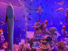 -海合安成都极地海洋公园