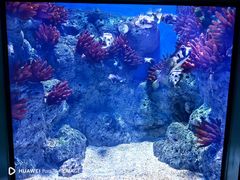 -福州罗源湾海洋世界旅游区