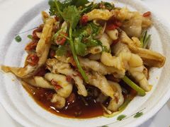 化骨绵掌-付掌柜在成都·热炒砂锅集(金禾店)