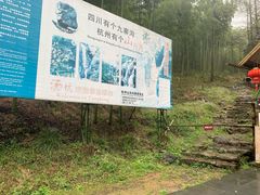-山沟沟景区