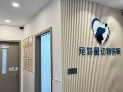-宠物星动物医院·眼科·异宠·猫科(江南大道总院)