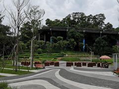 -飞凤山奥体公园