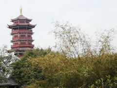 -厦门园林博览苑