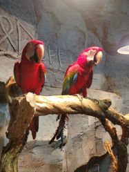 -Zoolung Zoolung动物主题公园(海信广场店)