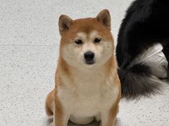 -茶话弄(中贸广场店)