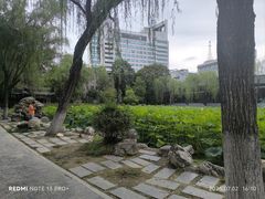 -莲湖公园