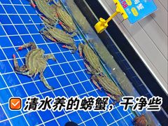 -宝轩渔府·老字号海鲜·正宗津菜(水上店)